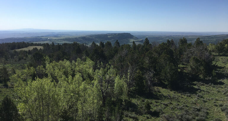 The BLM is hiring students into the Pathways Internship Program